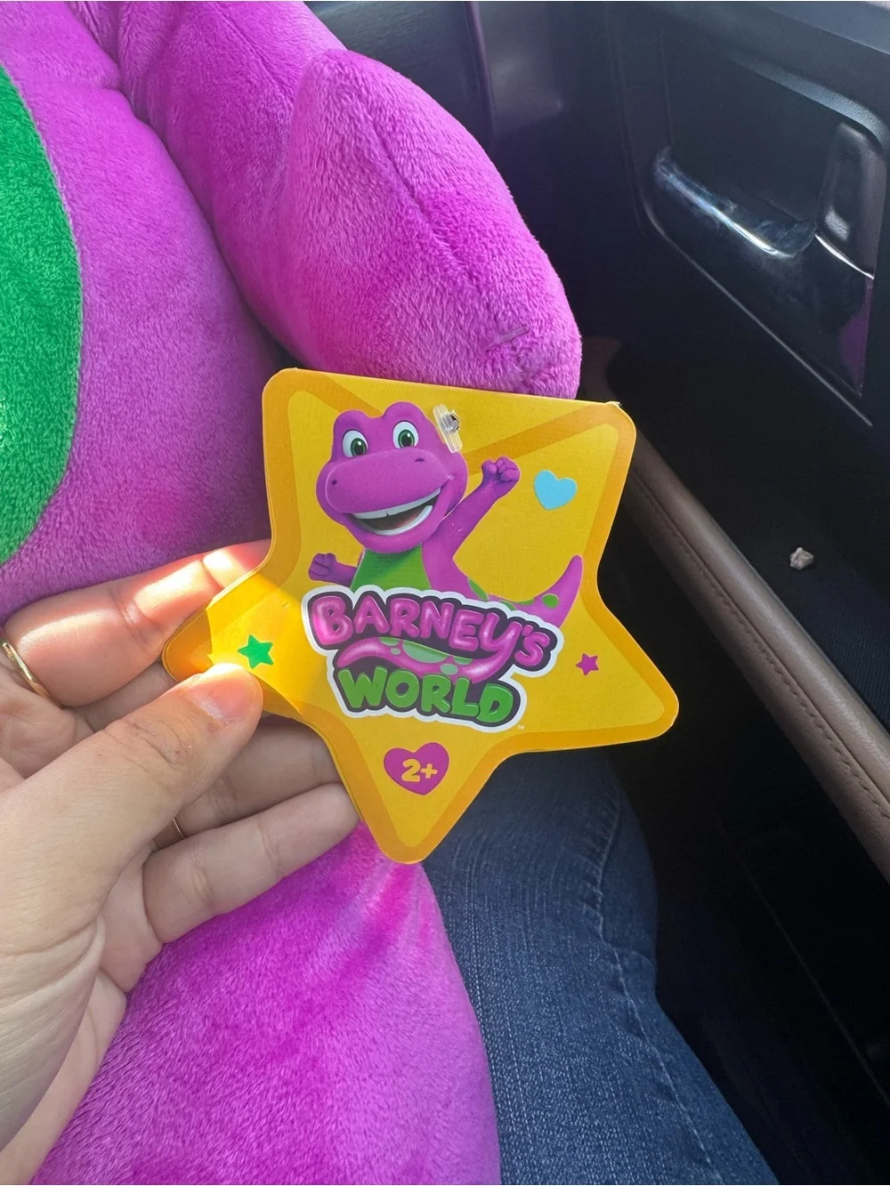 Fisher-Price Purple & Green Dinosaur Plush with Yellow Toe Accents